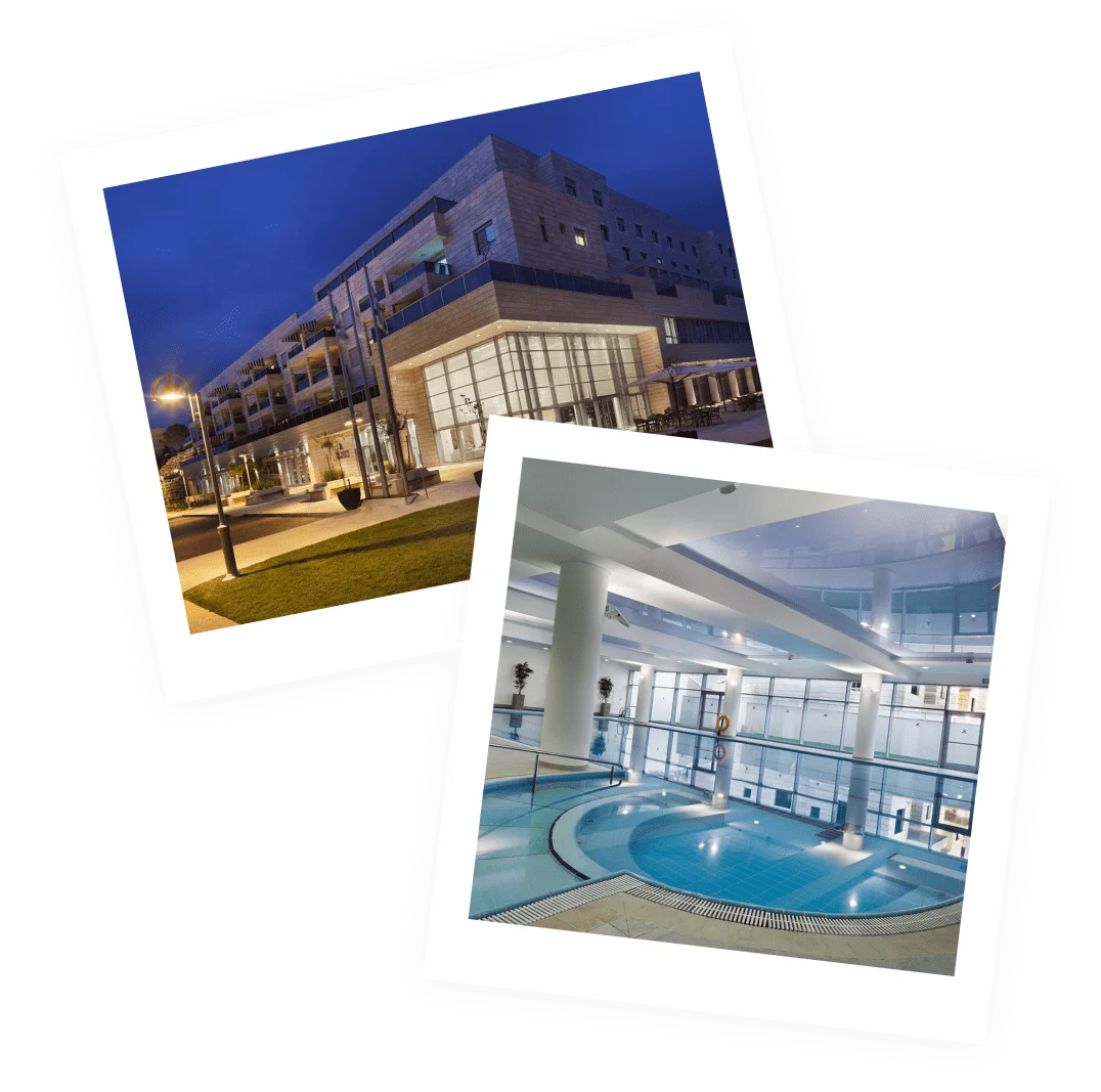 mobile-image-new-protea (1)